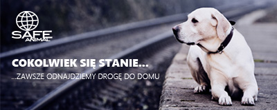 https://www.safe-animal.eu/files/download/banery/dog/jpg/safe-animal-400x160.jpg